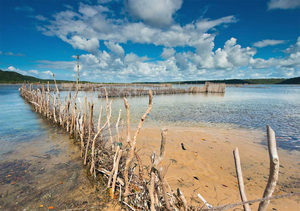 Kosi Bay